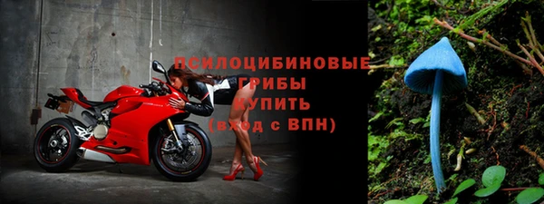 гашик Пролетарск