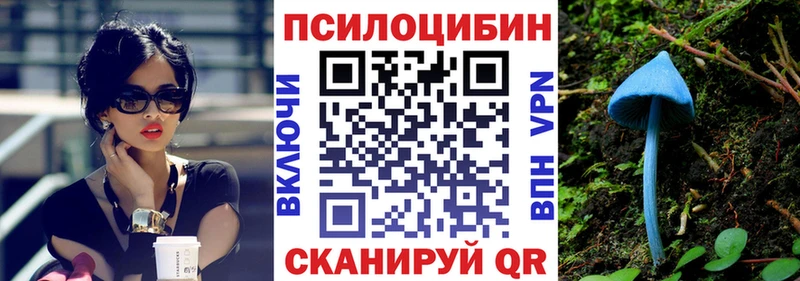 продажа наркотиков  Фрязино  Псилоцибиновые грибы Psilocybine cubensis 